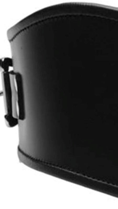 BDStyle Fetish Neck Posture Collar Bondage Accessory with D Ring - Collars and Leads