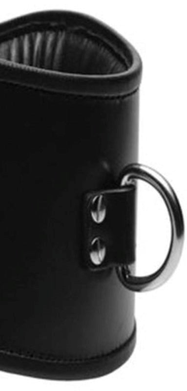 BDStyle Fetish Neck Posture Collar Bondage Accessory with D Ring - Collars and Leads