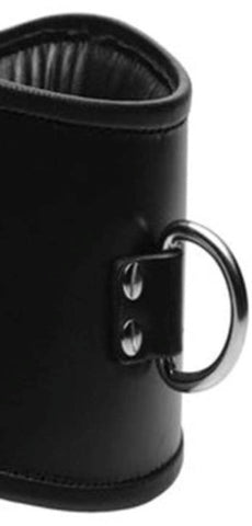 BDStyle Fetish Neck Posture Collar Bondage Accessory with D Ring - Collars and Leads