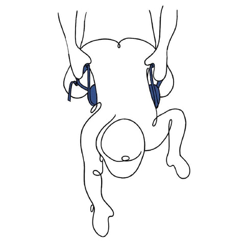 Sportsheets PIVOT Deluxe Doggie Strap Enhanced Penetration Position - Sex Furniture