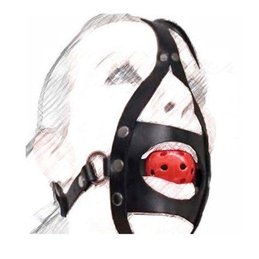 BDStyle Piss Urinal With Cock Cage Advanced BDSM Control Device - - Bondage Gags and Bits