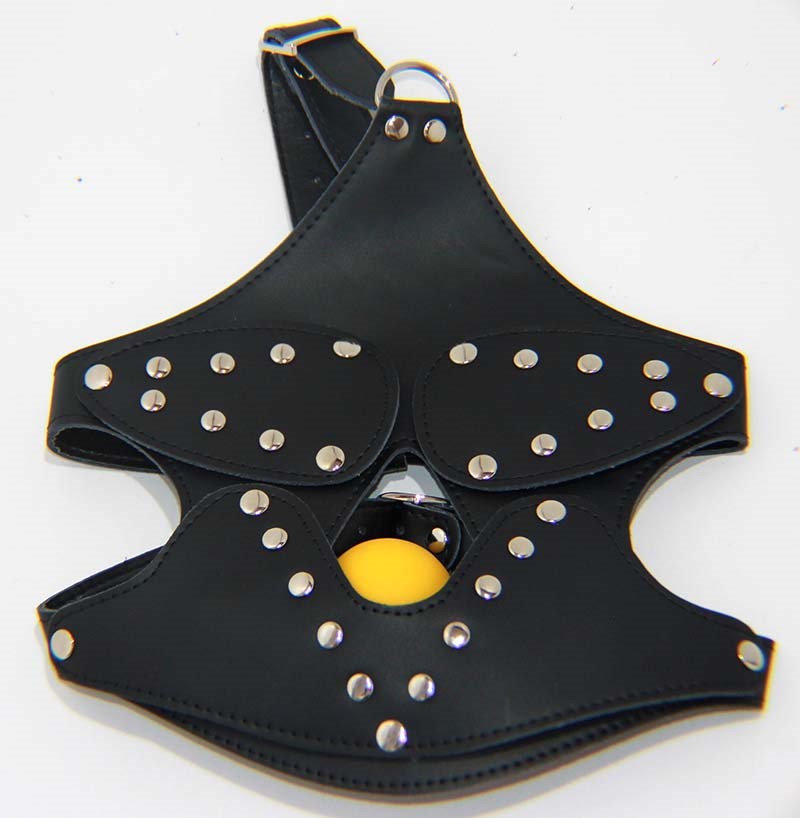 BDStyle Bondage Mask with Blindfold and Ball Gag Removable Components - Bondage Gags and Bits