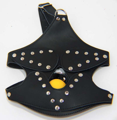 BDStyle Bondage Mask with Blindfold and Ball Gag Removable Components - Bondage Gags and Bits