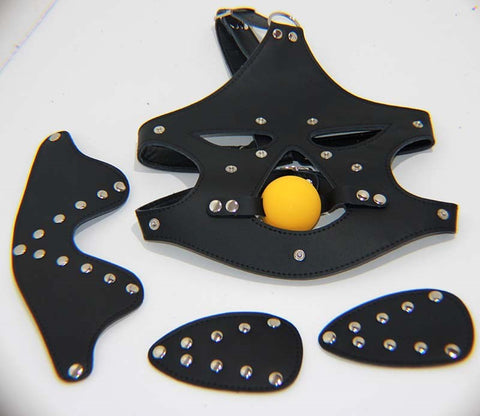 BDStyle Bondage Mask with Blindfold and Ball Gag Removable Components - Bondage Gags and Bits