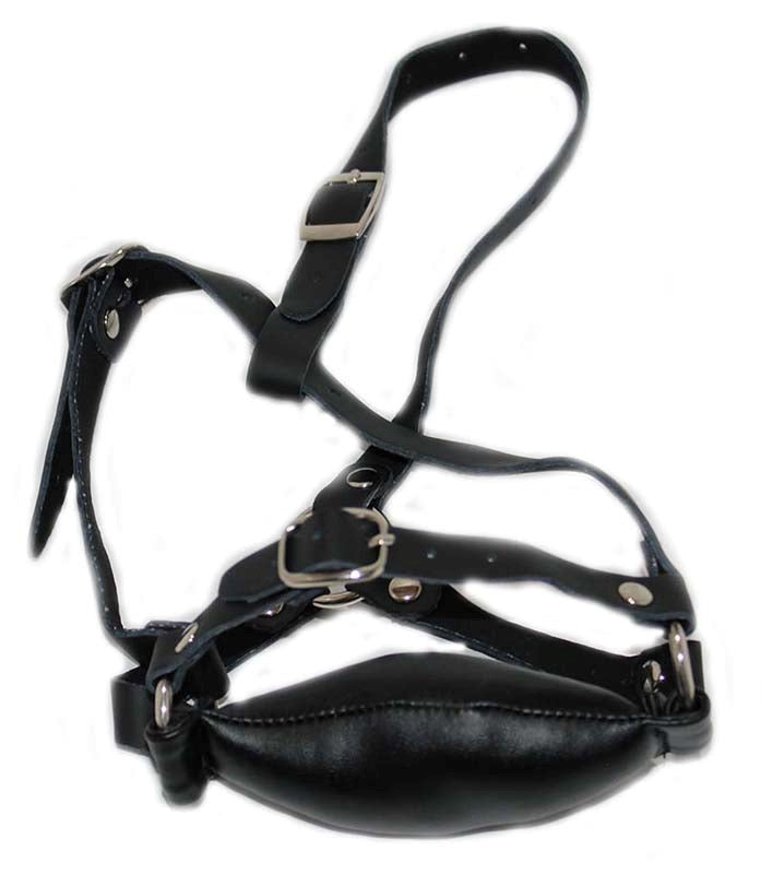 BDStyle Bound for Pleasure Bit Gag Thick BDSM Bondage Restraint - Bondage Gags and Bits