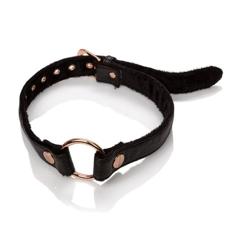 California Exotics Entice Open Mouth Gag with Adjustable Rings - Bondage Gags and Bits