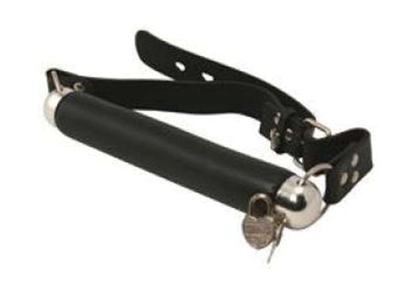 Pipedream Products Fetish Fantasy Series BDSM Play Bit Gag with Lock - Bondage Gags and Bits