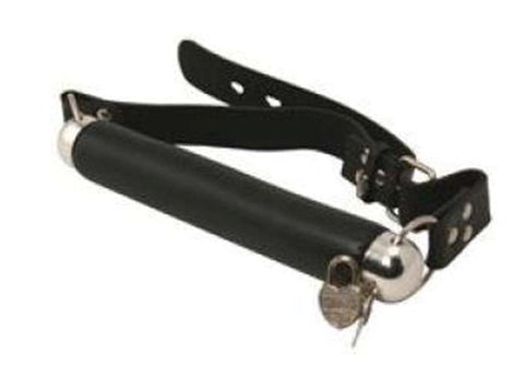 Pipedream Products Fetish Fantasy Series BDSM Play Bit Gag with Lock - Bondage Gags and Bits