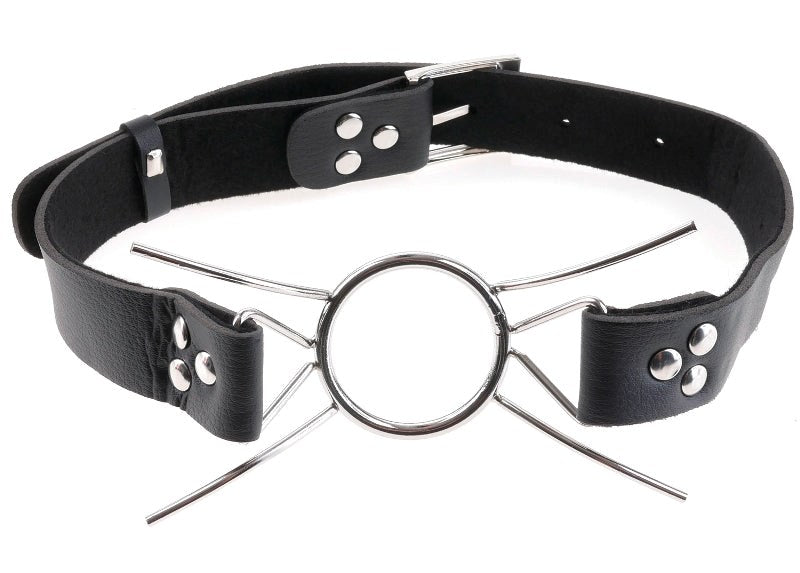 Pipedream Products Fetish Fantasy Extreme Bondage Play Spider Gag Steel Ring - Bondage Gags and Bits