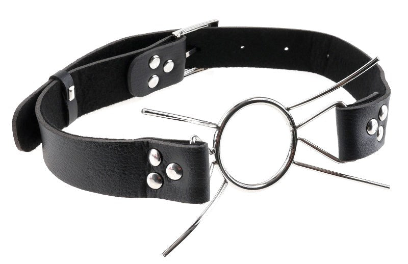 Pipedream Products Fetish Fantasy Extreme Bondage Play Spider Gag Steel Ring - Bondage Gags and Bits