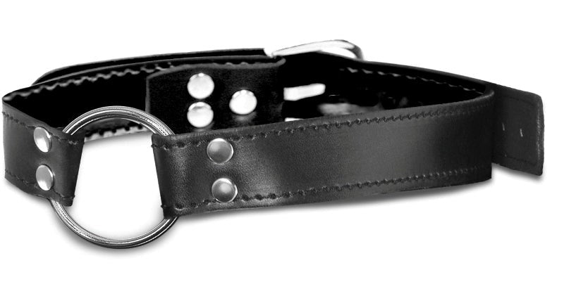 Pipedream Products Fetish Fantasy Limited Edition BDSM Play O Ring Gag - - Bondage Gags and Bits