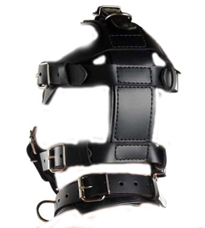 BDStyle Head Harness & Muzzle Light Bondage Control Sex Toy - Bondage Gags and Bits