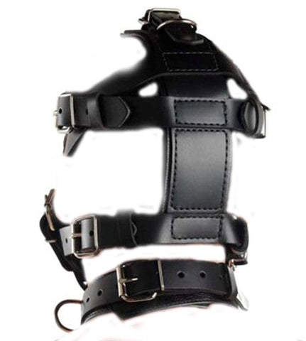 BDStyle Head Harness & Muzzle Light Bondage Control Sex Toy - Bondage Gags and Bits