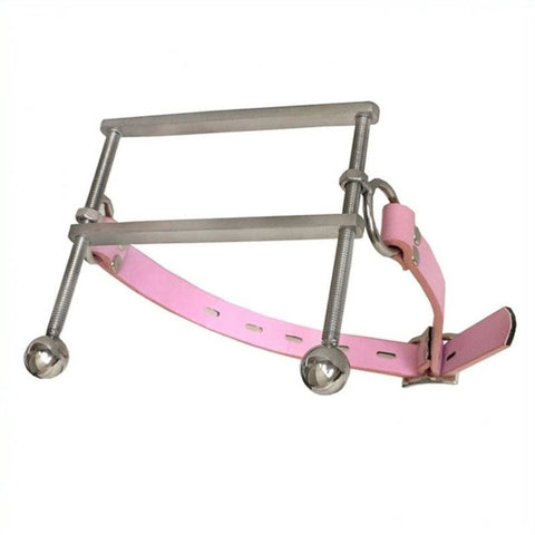 BDStyle Tongue Flail Open Mouth Gag with Locking Key Feature - Bondage Gags and Bits