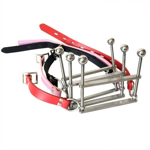 BDStyle Tongue Flail Open Mouth Gag with Locking Key Feature - Bondage Gags and Bits
