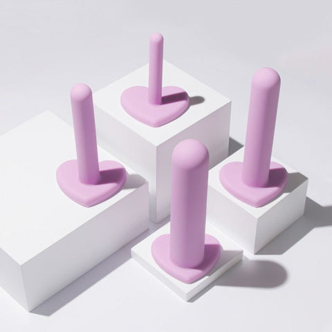Blush Novelties Wellness Vaginal Dilators Set of 4 Sizes Purple Progressive - Pussy And Clit Toys