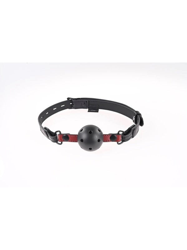 Sportsheets Saffron Interchangeable Gag with Snap On Ball and Ring System - Bondage Gags and Bits