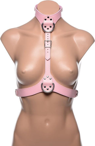 XR Brands Frisky Miss Behaved Pink Chest Harness with D Ring Attachment - Cuffs And Restraints