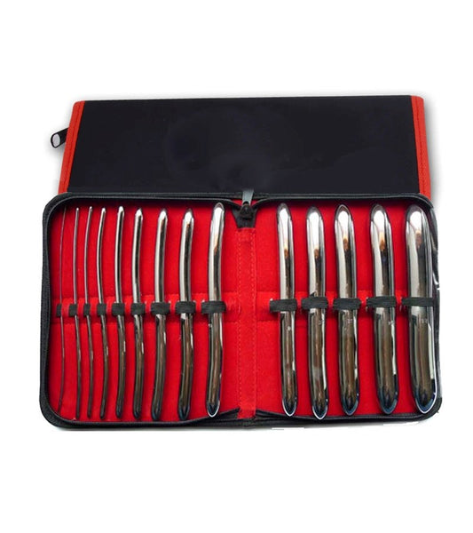 BDStyle Hegar Double Urethral Dilator Medical Grade Metal Sounding Set - - Urethral Sounds