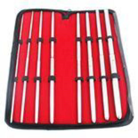 BDStyle Pratt 8 Pieces Double Ended Urethral Dilator Set Medical Grade Steel - Urethral Sounds