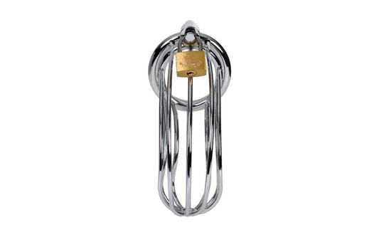 ToyFa Metal Silver Metal Birdcage Cock Cage with Lock and Keys - - Male Chastity