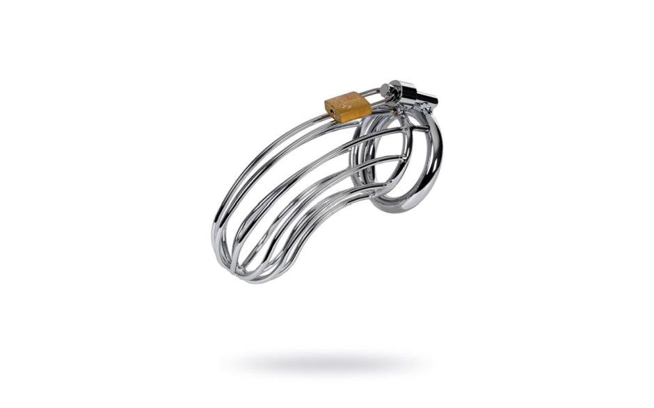 ToyFa Metal Silver Metal Birdcage Cock Cage with Lock and Keys - - Male Chastity