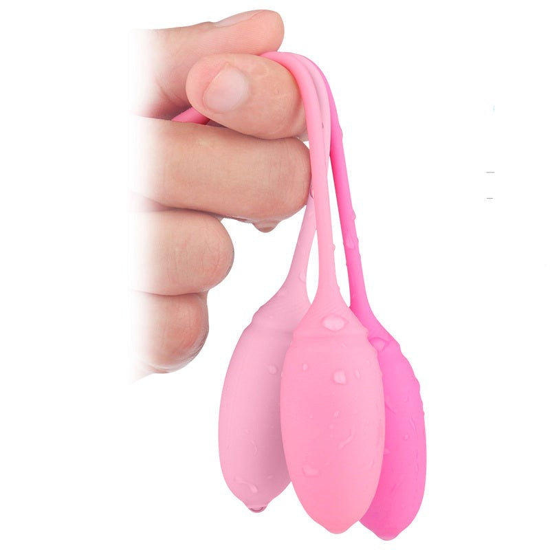 BDStyle Deluxe Kegel Exerciser System Progressive Weight Training - Love Eggs and Kegel Exercisers
