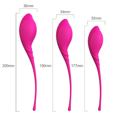 S Hande Lamboll Kegel Vaginal Exerciser Kit with Progressive Weight Training - Love Eggs and Kegel Exercisers