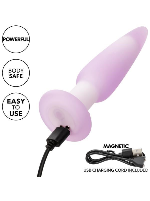 California Exotics Lavender Haze Slender Silicone Anal Probe with Memory Chip - Butt Plugs