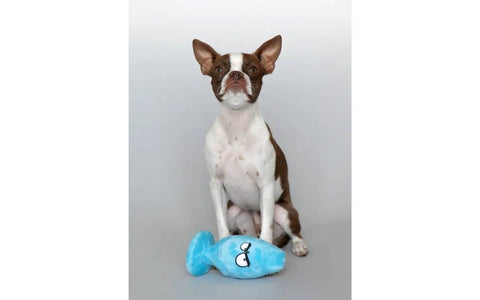 C1R Releasing Boneyard Toys Scruffy Pet Toys McRuff Butt Plug Premium Design - Sex Games, Coupons and Tricks