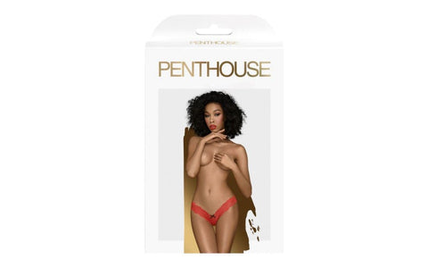 Penthouse Lingerie Dangerous Darling G String Panties Red Brazilian Cut Lace - G-Strings, Panties and Shorts