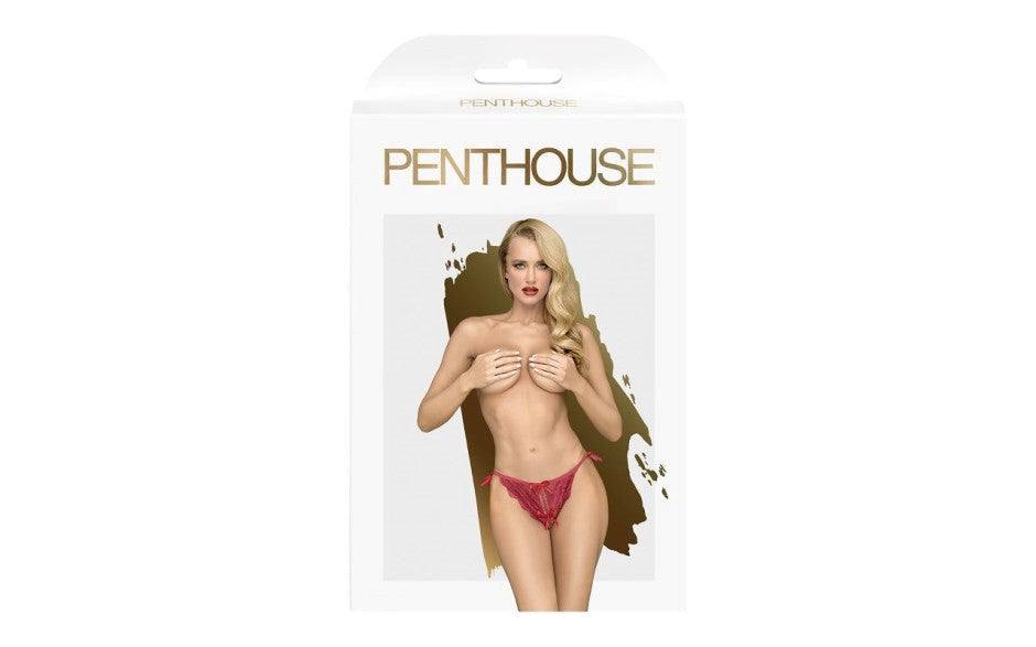 Penthouse Lingerie Too Hot To Be Real Womens Panties Wine with Adjustable Lacing - - G-Strings, Panties and Shorts