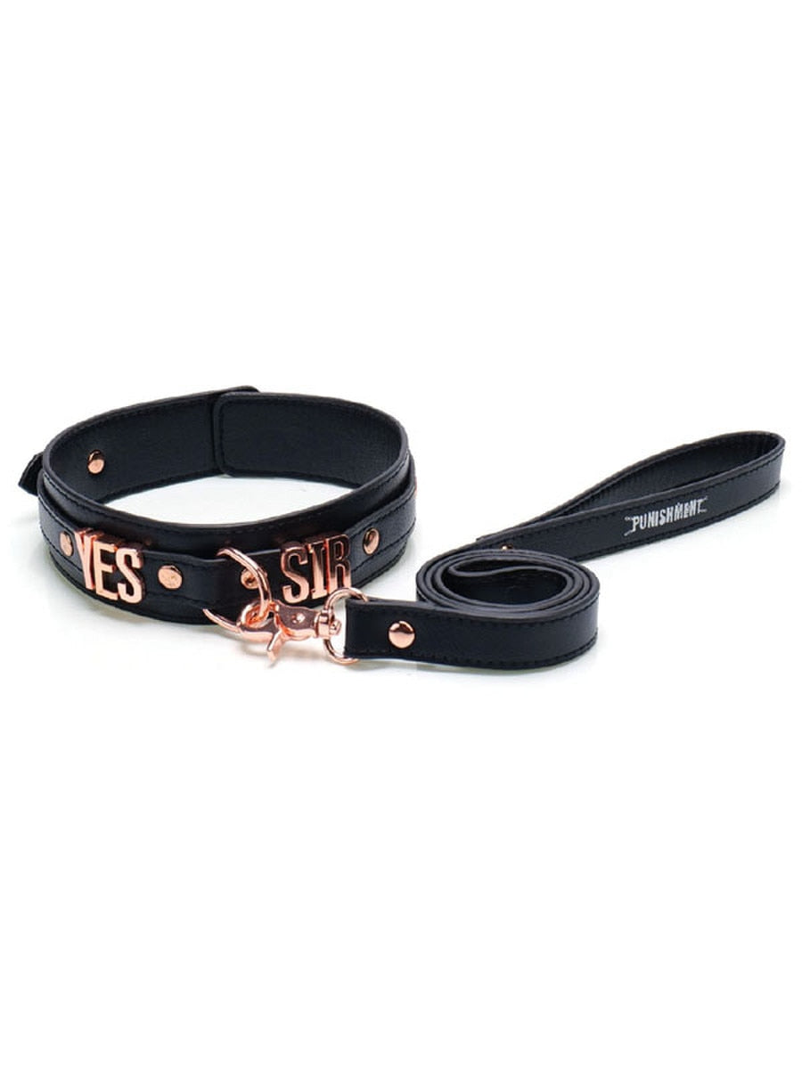 BMS Factory Punishment Rose Gold Yes Sir Collar and Leash - Collars and Leads