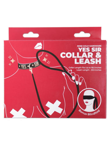 BMS Factory Punishment Rose Gold Yes Sir Collar and Leash - Collars and Leads