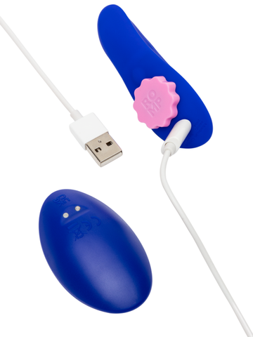 Love Honey Romp Party Remote Controlled Panty Vibrator - Remote Control Vibrators