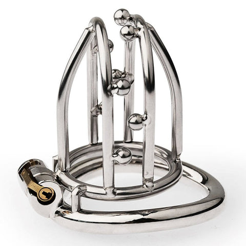 BDStyle Chastity Opening Cage With Chastity Lock Bent Ring and Lock - Male Chastity
