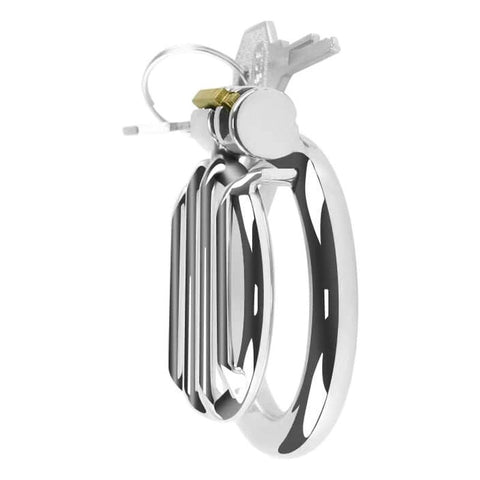 BDStyle Plate Cage Male Chastity Device Large Stainless Steel Design - Male Chastity