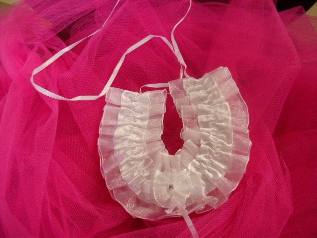 Me Collections Horse Shoe In Satin And Organza Ceremonial Keepsake - - Party Gifts and Novelties