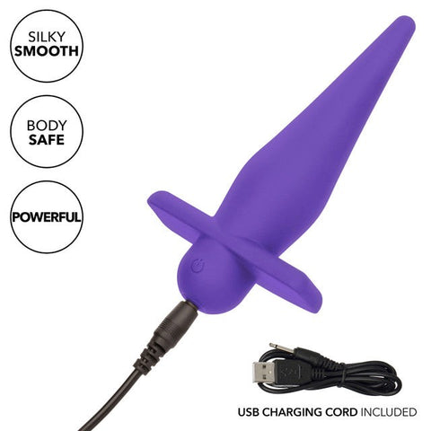 California Exotics Rechargeable High Intensity Anal Probe Purple - Anal Vibrators