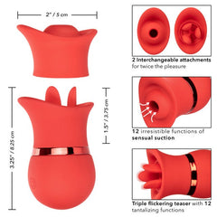 French Kiss 12 Function Suck & Play Interchangeable Set Red - - Clit Ticklers and Pulsators