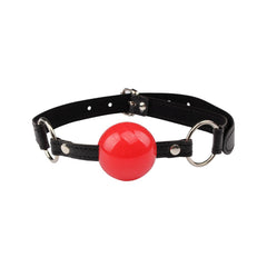Behave Dominate Tonight Adjustable S&M Kit Black - - Bondage Kits