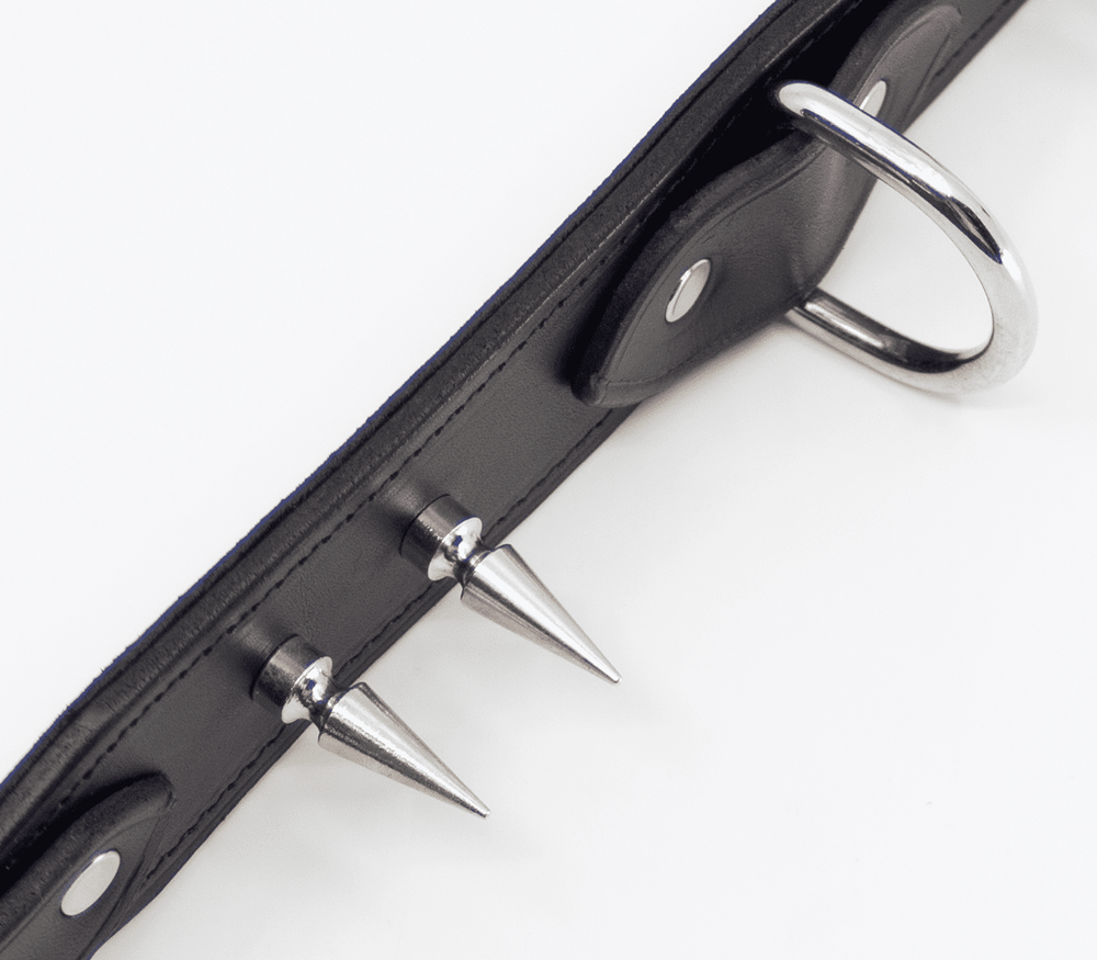 Love In Leather BDSM Collar With Long Spikes - - Collars and Leads