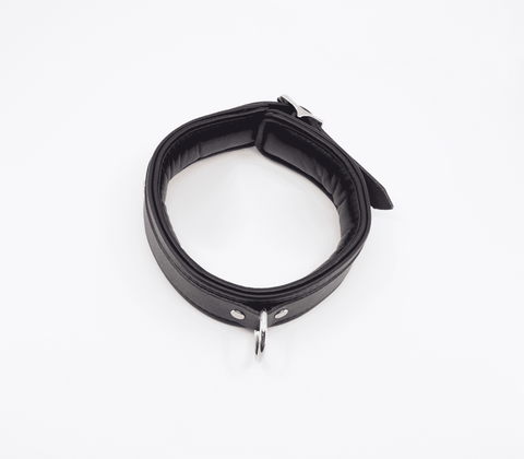 Love In Leather Fetish Collar with Coloured Hardware Lockable BDSM Collar - Collars and Leads