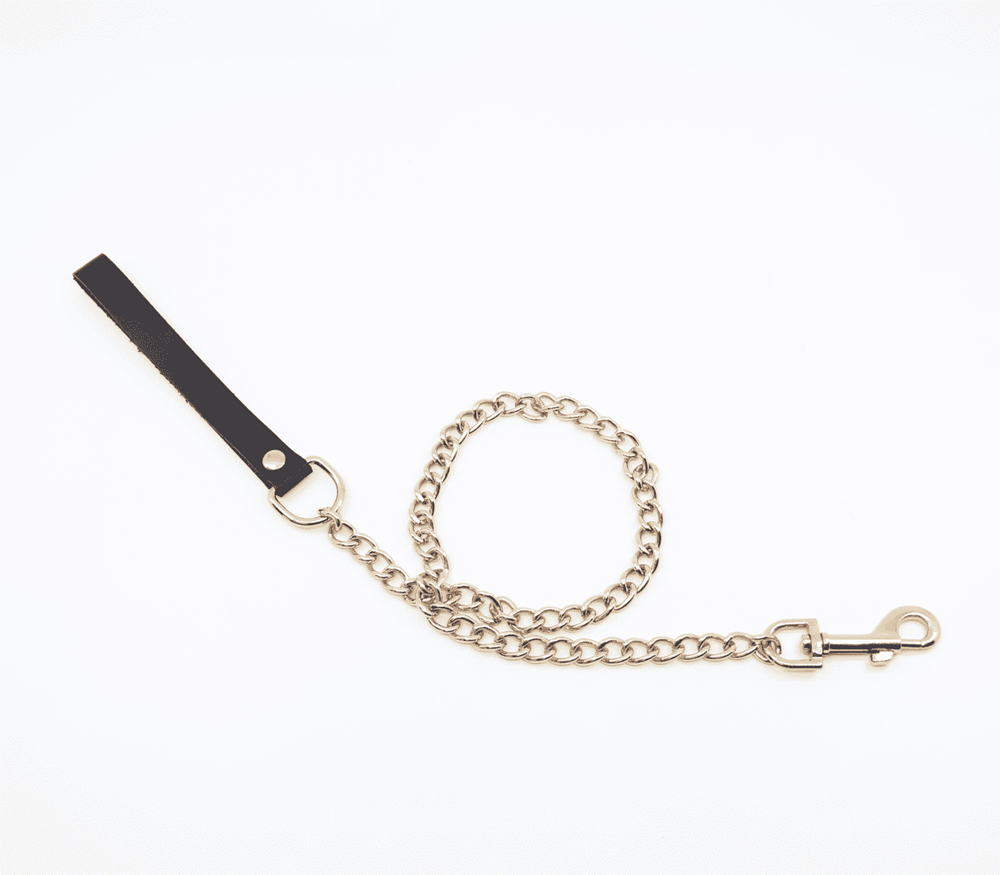 Love In Leather BDSM Chain Lead With Coloured Hardware - Gold - Collars and Leads