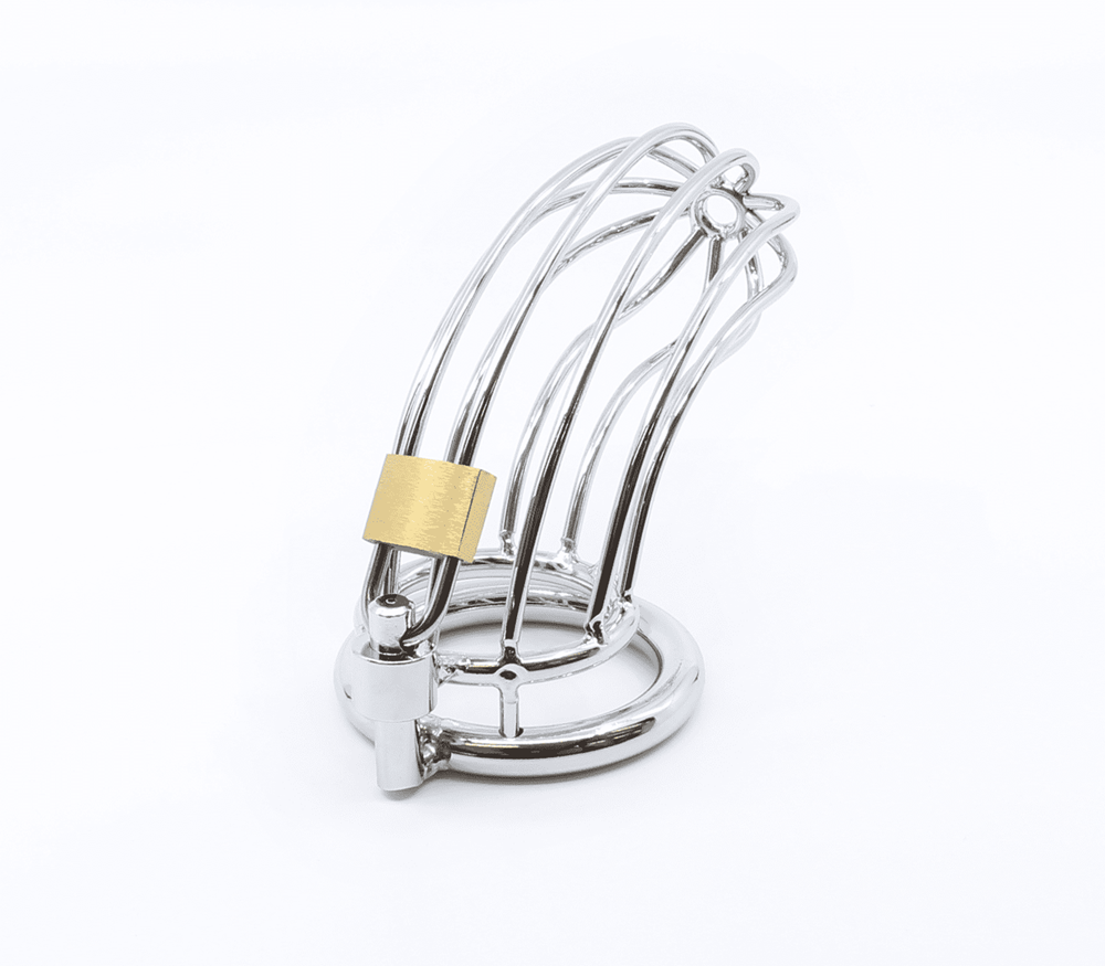 Love In Leather Zinc Alloy Bird Cage Chastity Device - - Male Chastity