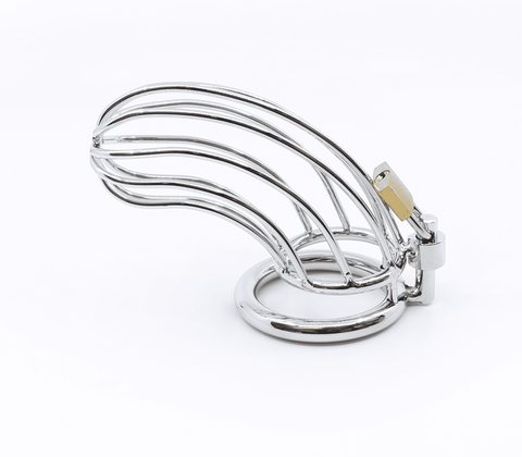 Love In Leather Zinc Alloy Bird Cage Chastity Device - Male Chastity