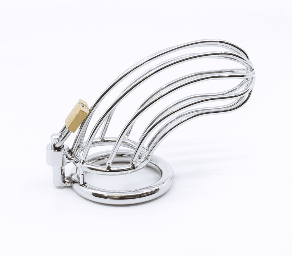 Love In Leather Zinc Alloy Bird Cage Chastity Device - 50mm - Male Chastity