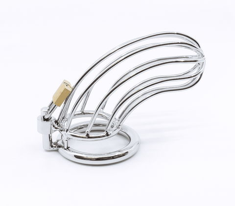Love In Leather Zinc Alloy Bird Cage Chastity Device - Male Chastity