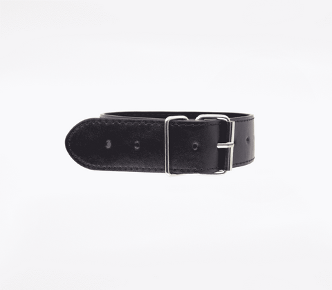 Berlin Baby BDSM Play Unlined PU Collar and Lead Power Exchange Control Set - Collars and Leads