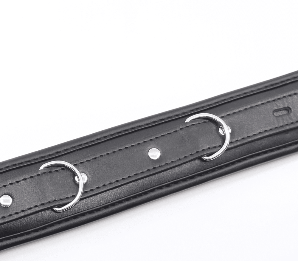 Berlin Baby Padded BDSM Collar With Lockable Buckle - - Collars and Leads